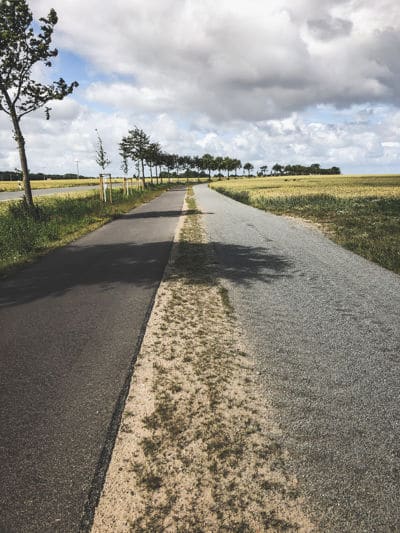 Chose between road ad gravel