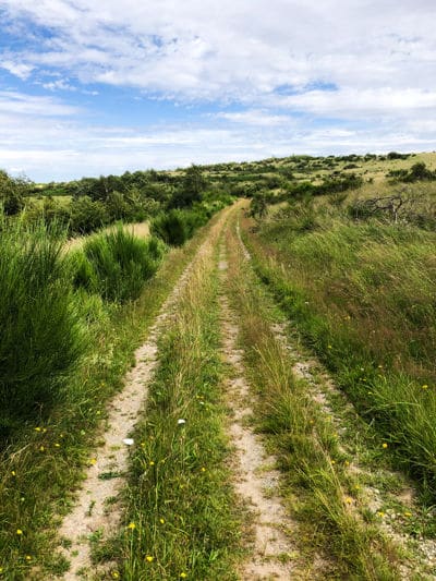 Between tracks through the Eifel