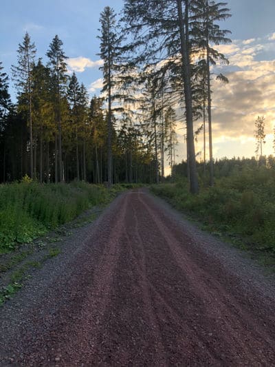 Last hours of riding in the Harz