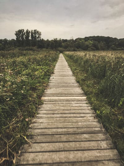 Endless boardwalk