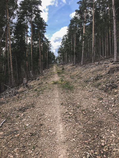 Orbit Thüringen - 4.800 meters of climbing